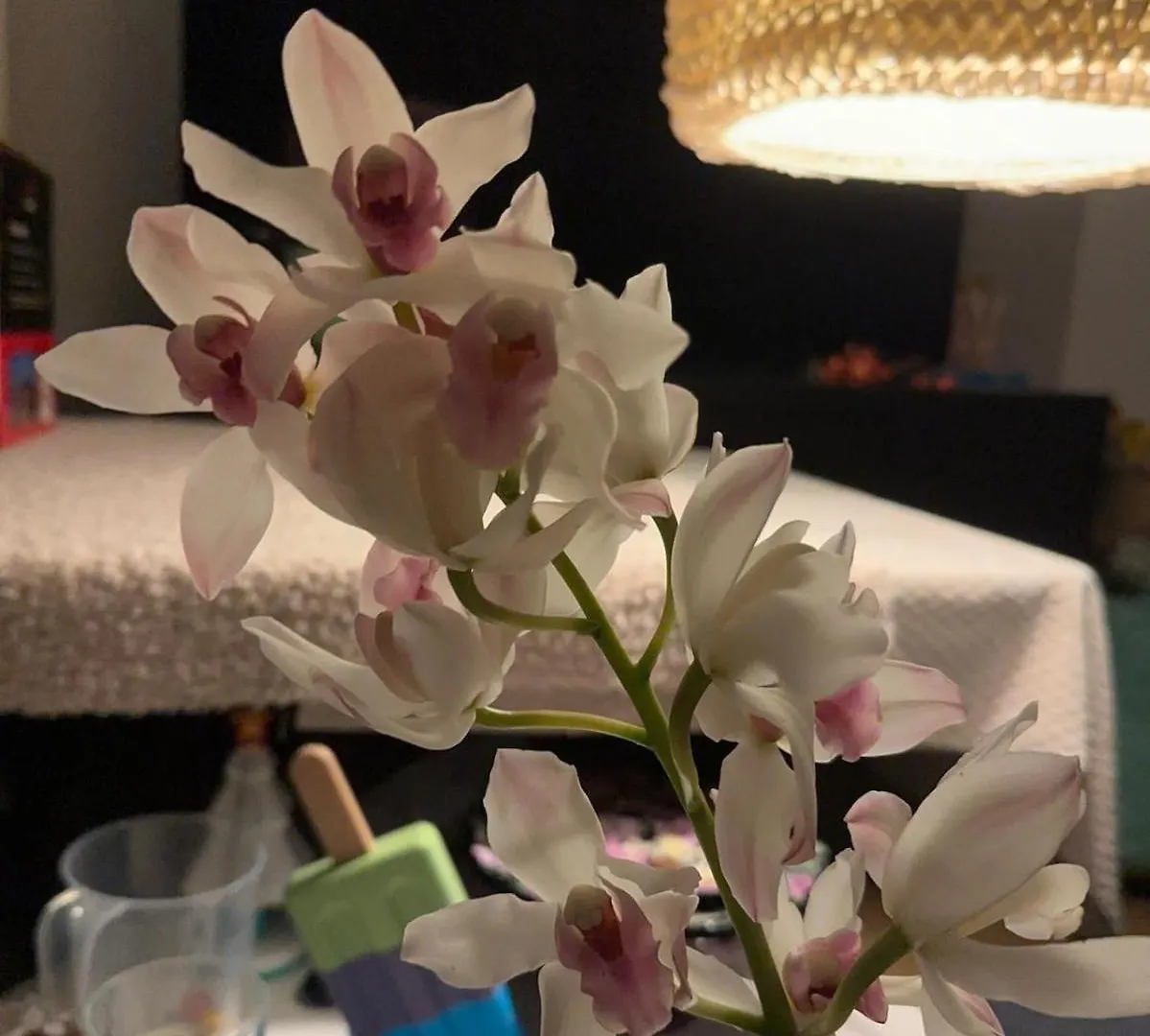 Apartment Chinese With Airport Pickup Frankfurt Messe Hall3 Home Ish Light And Sound Fair With Pickup Frankfurt am Main