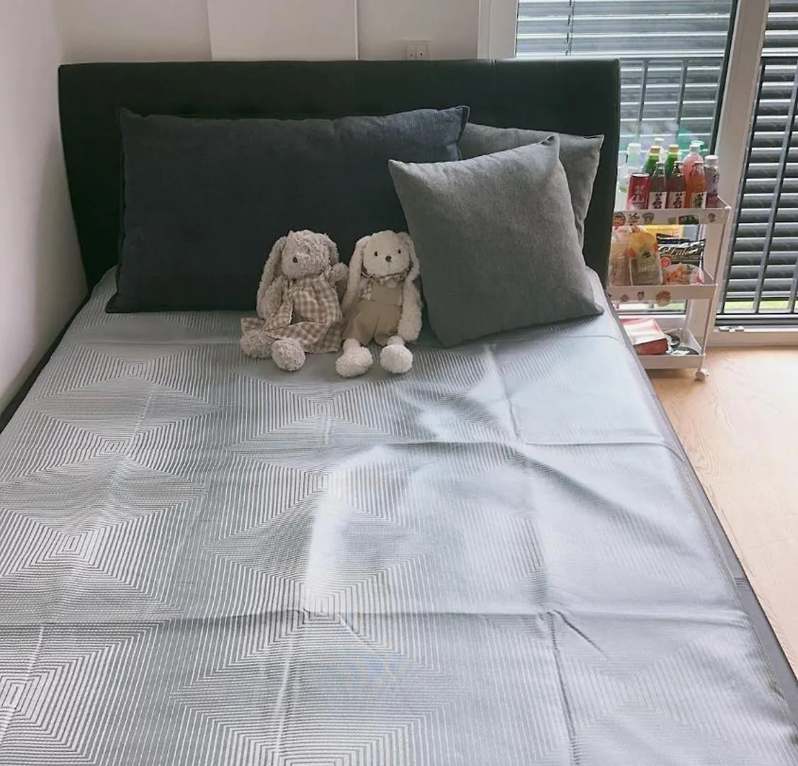 Apartment Chinese With Airport Pickup Frankfurt Messe Hall3 Home Ish Light And Sound Fair With Pickup Frankfurt am Main Germany